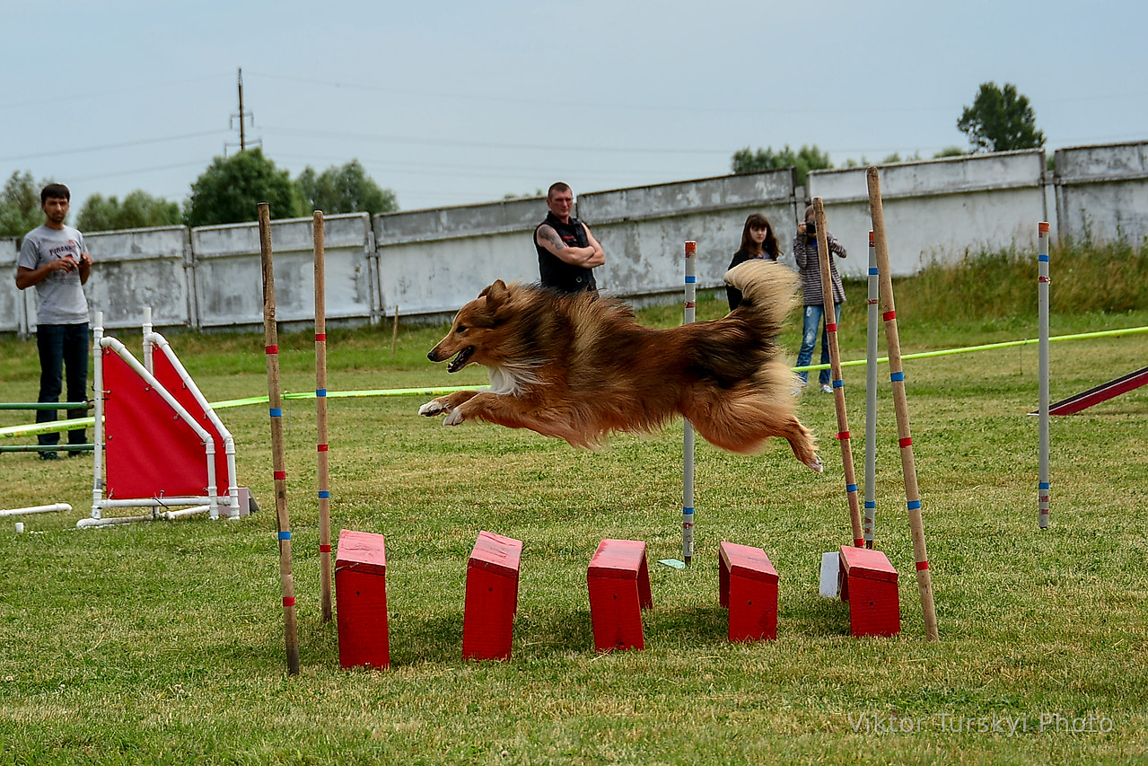 Agility Kyiv