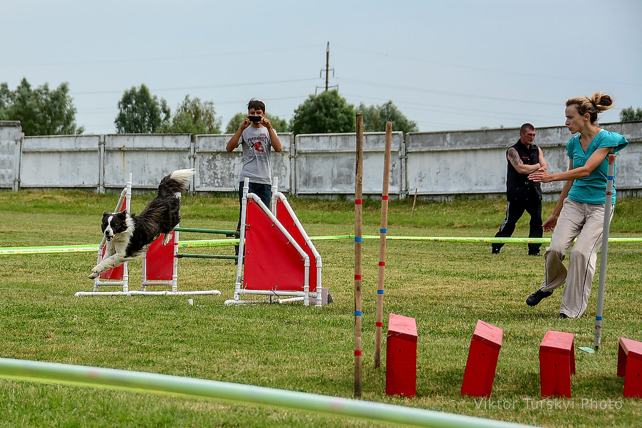 Agility Kyiv — photo 2