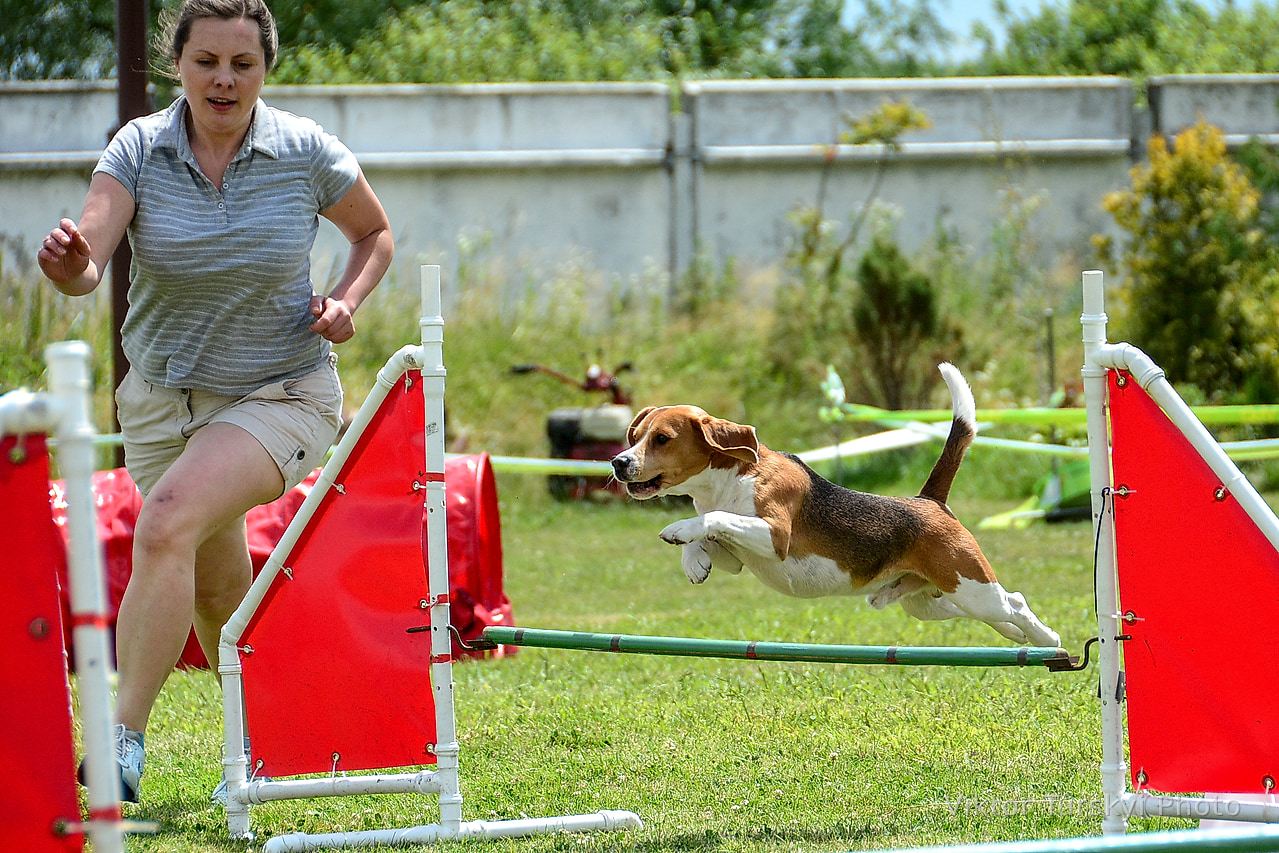 Agility Kyiv — photo 9