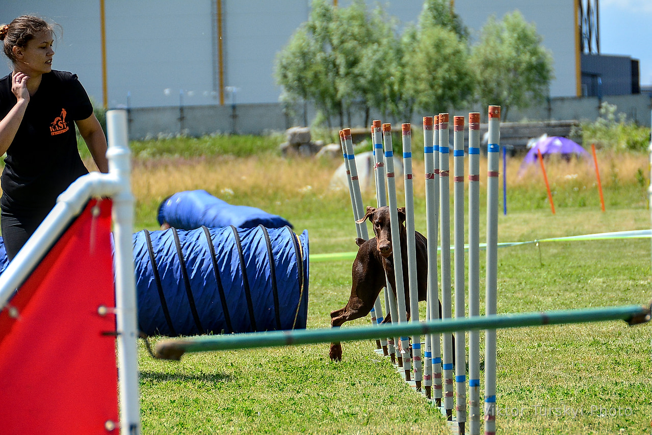Agility Kyiv — photo 11