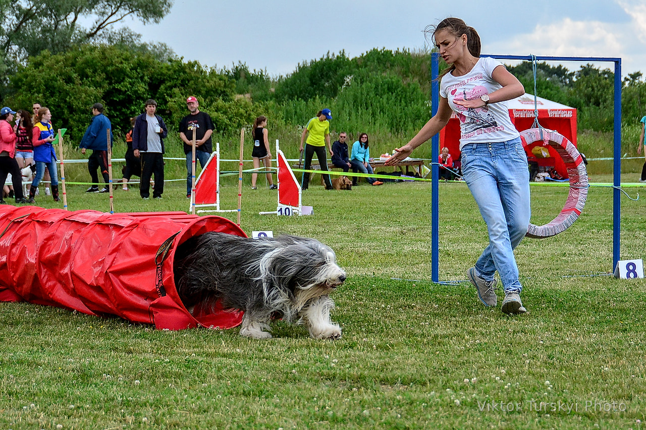 Agility Kyiv — photo 13