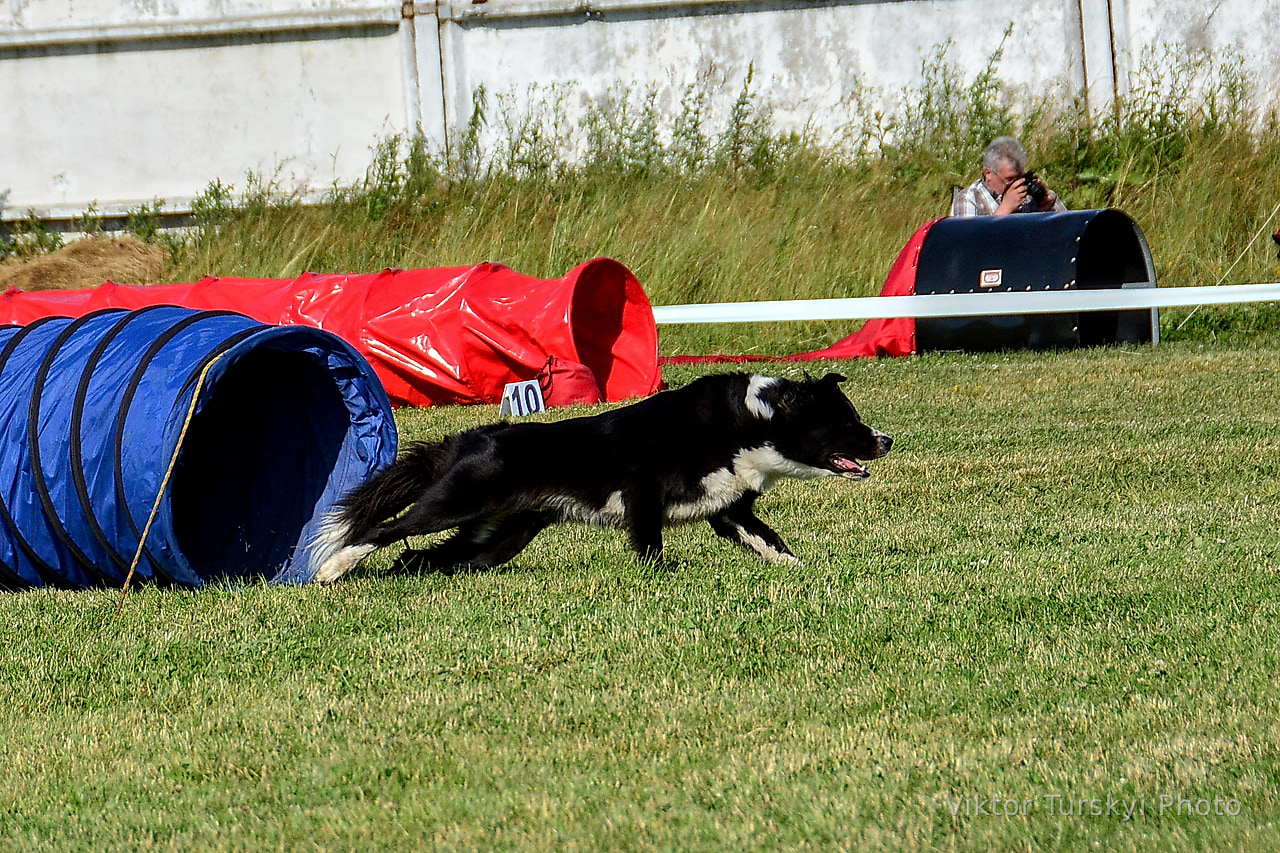Agility Kyiv — photo 21